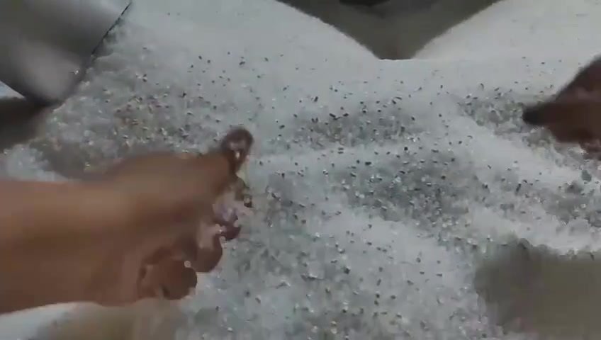 9月27日(2).mp4